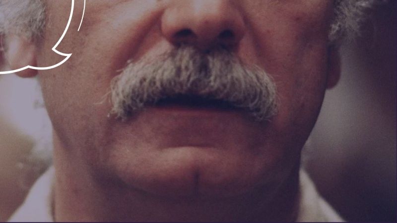 Cotton Quiz - Quiz : Culture G + A qui la moustache ?