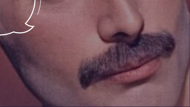 Cotton Quiz - Quiz : Culture G + A qui la moustache #2